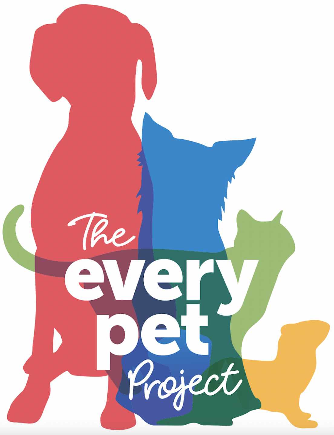 the every pet project
