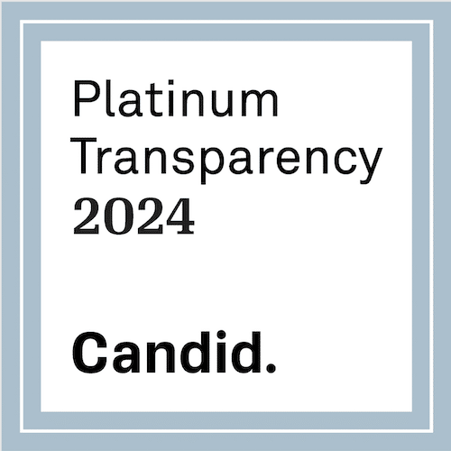 platinum transparency 2024