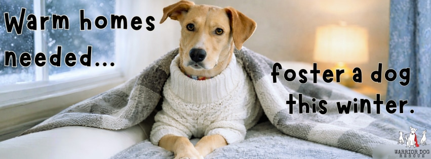 Warm Homes Needed Banner